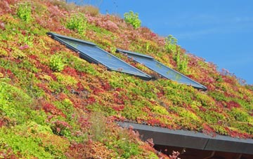 Englefield Green living roof systems